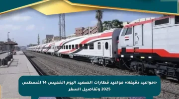 «مواعيد دقيقة» مواعيد قطارات الصعيد اليوم الخميس 14 أغسطس 2025 وتفاصيل السفر
